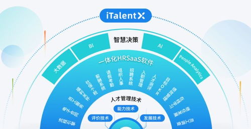 集團人力資源管理系統選型指南與優秀服務商推薦